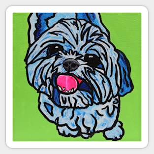 Blue Shih Tzu Sticker